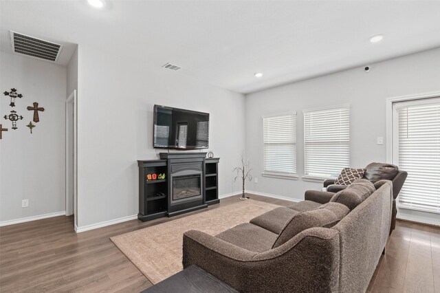 living room with wood-type flooring