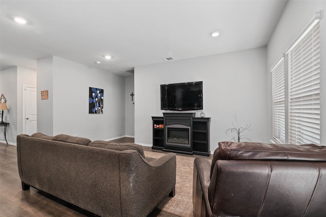 living room featuring a fireplace and wood-type flooring