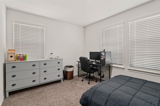 bedroom with light colored carpet