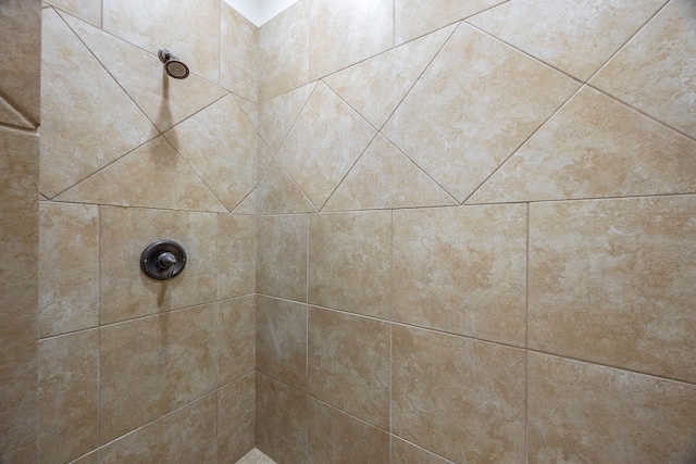 interior details with tiled shower