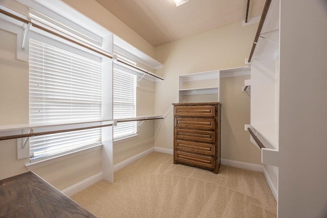 walk in closet featuring light colored carpet