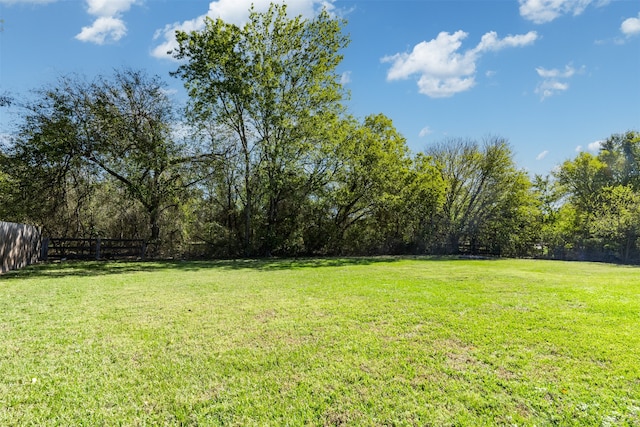 view of yard