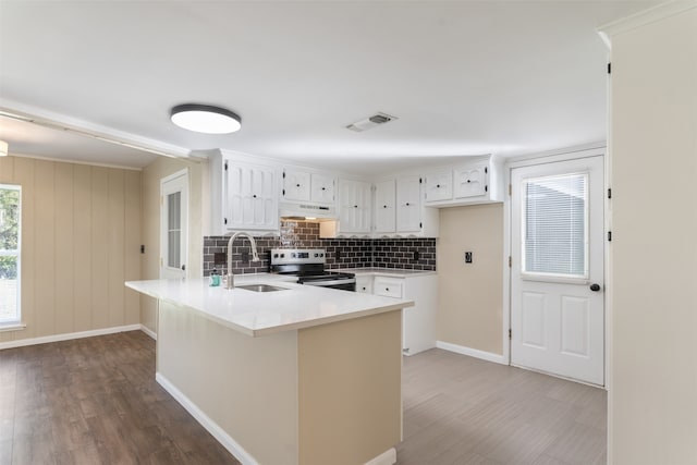 kitchen with white cabinetry, sink, tasteful backsplash, premium range hood, and electric stove