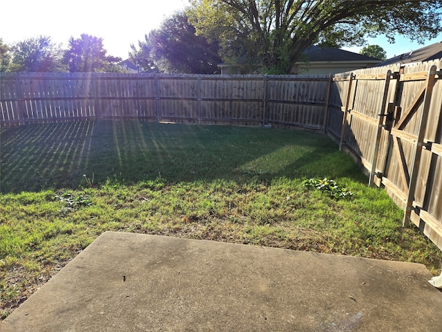 view of yard featuring a patio area