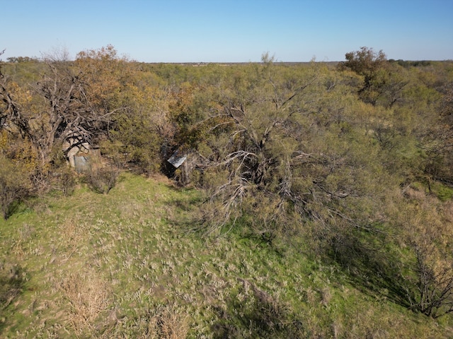 Listing photo 3 for TBD Highway 1864, Cisco TX 76437