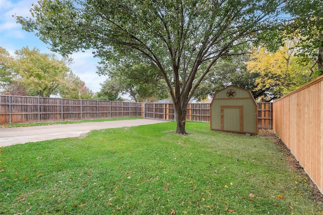 view of yard with a patio and a storage shed