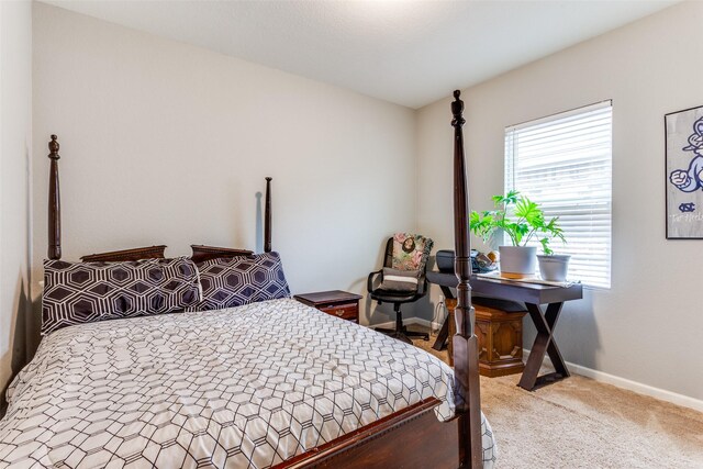 bedroom with carpet floors