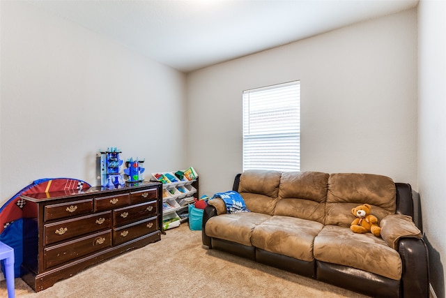 living room with carpet floors