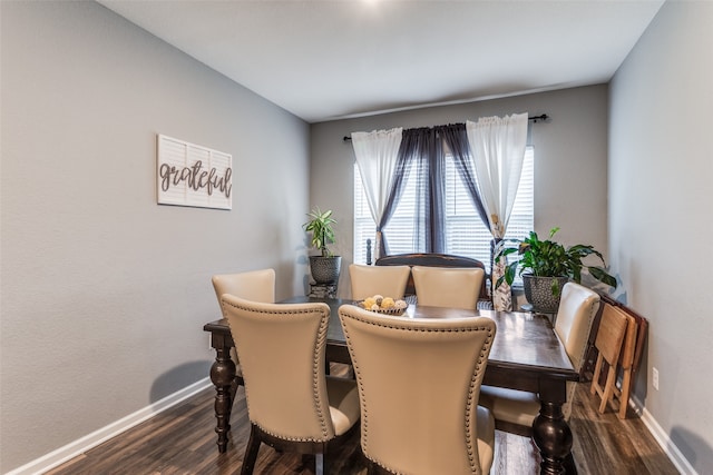 dining space featuring dark wood-type flooring