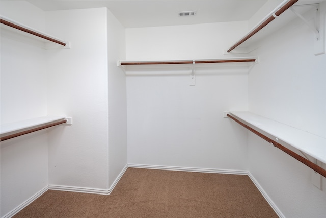 walk in closet with carpet floors