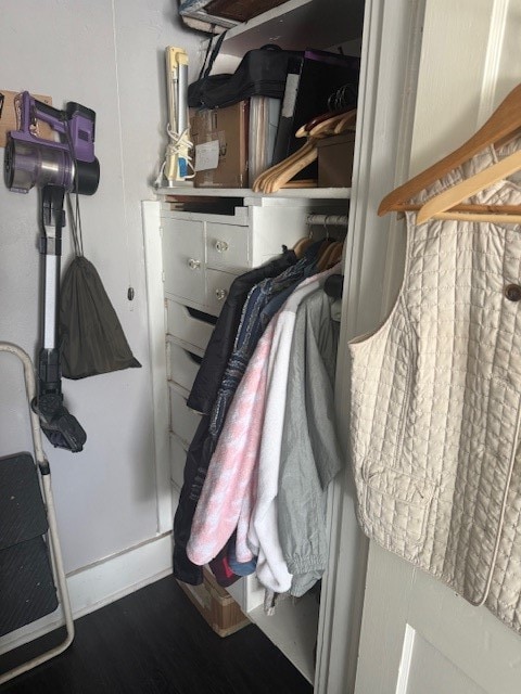 walk in closet featuring hardwood / wood-style flooring