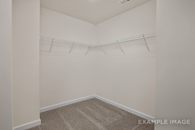 walk in closet with carpet floors