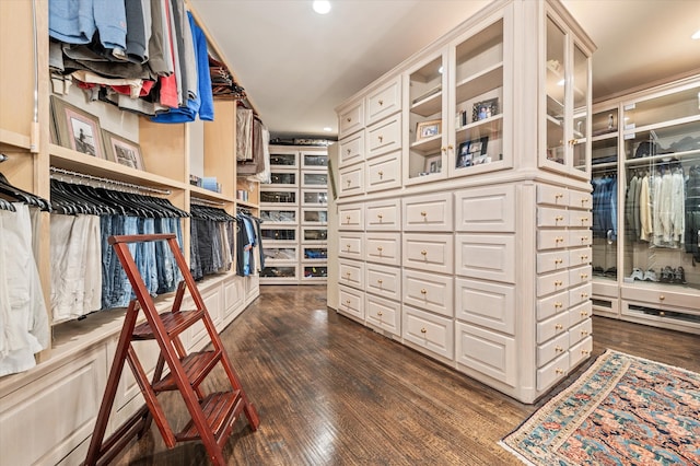 walk in closet with dark hardwood / wood-style flooring