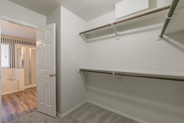 walk in closet featuring carpet flooring