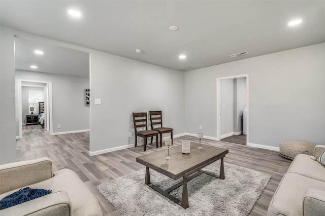 living room featuring wood-type flooring