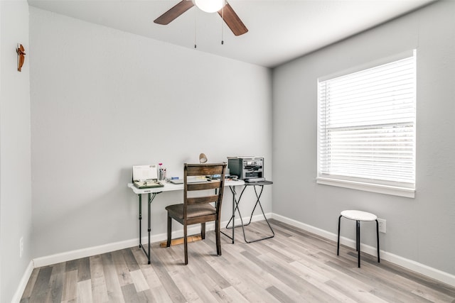 office featuring light hardwood / wood-style flooring and ceiling fan