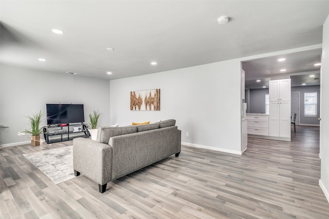 living room featuring light hardwood / wood-style floors