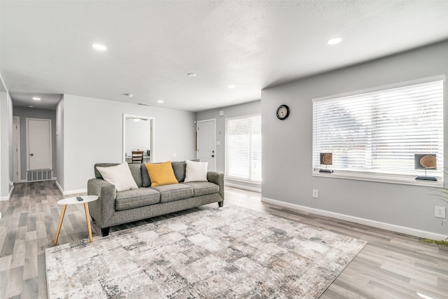 living room with a textured ceiling and light hardwood / wood-style flooring