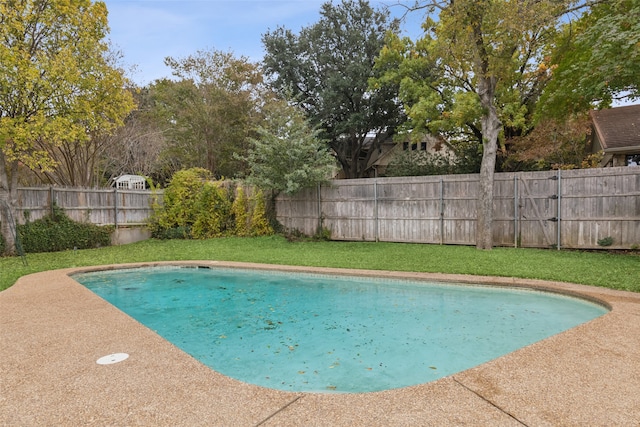 view of pool with a lawn