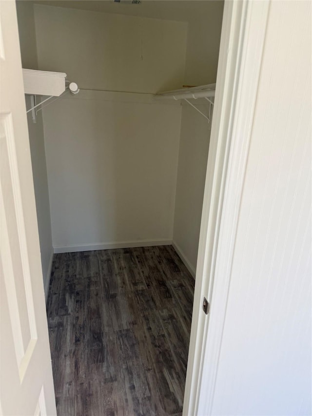 spacious closet with dark hardwood / wood-style flooring