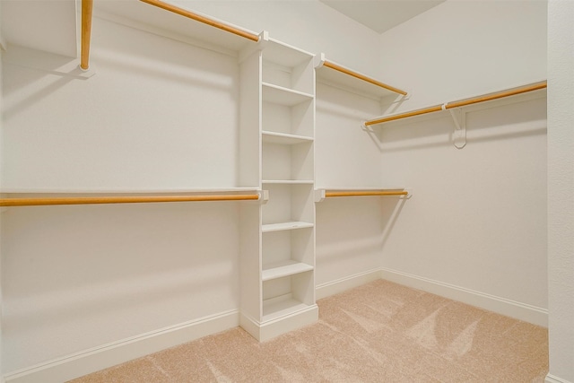 walk in closet with carpet flooring