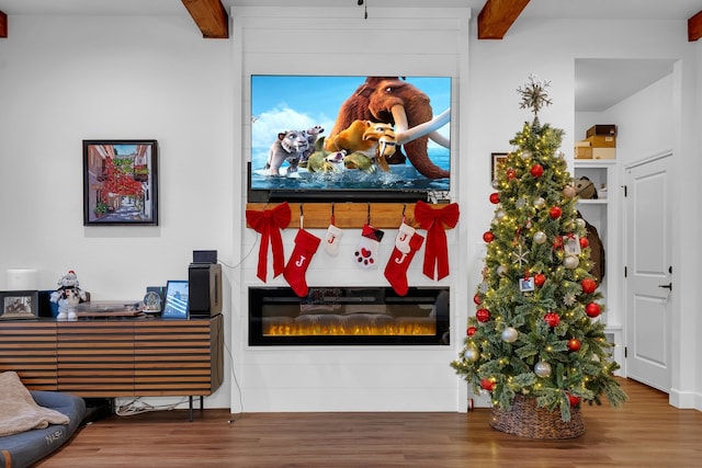 room details featuring hardwood / wood-style flooring and a large fireplace