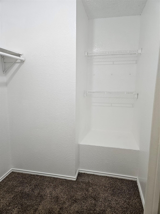 walk in closet featuring carpet flooring