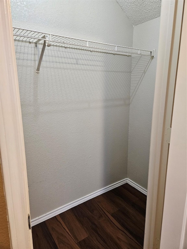 walk in closet with hardwood / wood-style flooring