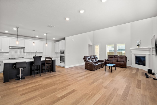 living room with light hardwood / wood-style floors