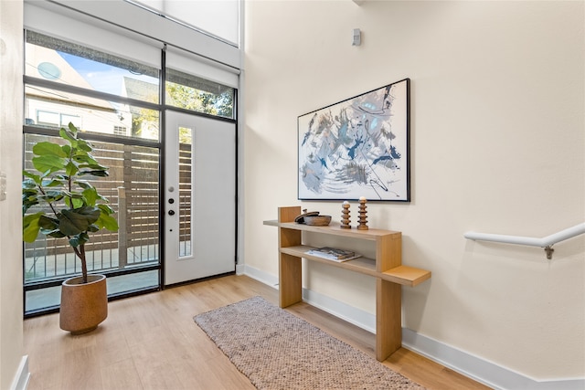 entrance foyer featuring light hardwood / wood-style flooring