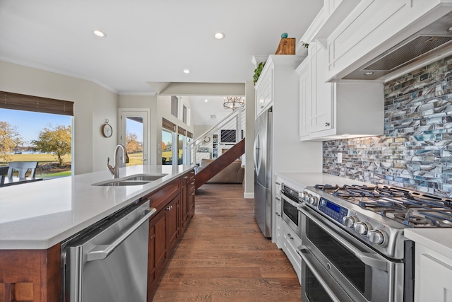 kitchen with dark wood-type flooring, a sink, appliances with stainless steel finishes, tasteful backsplash, and custom range hood