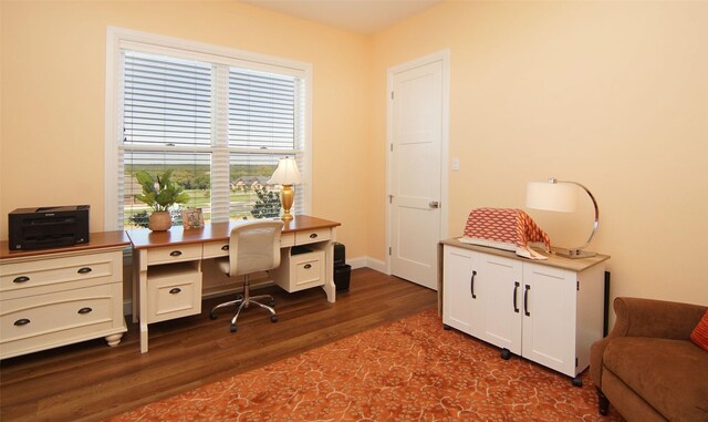 office space with dark hardwood / wood-style flooring