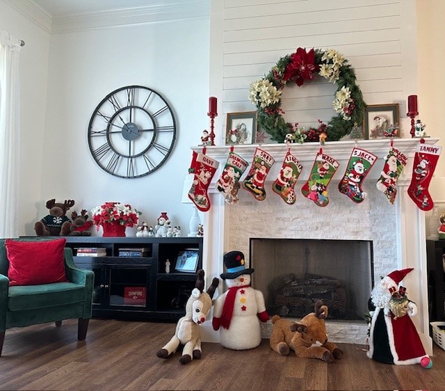 room details featuring a fireplace, ornamental molding, and hardwood / wood-style flooring