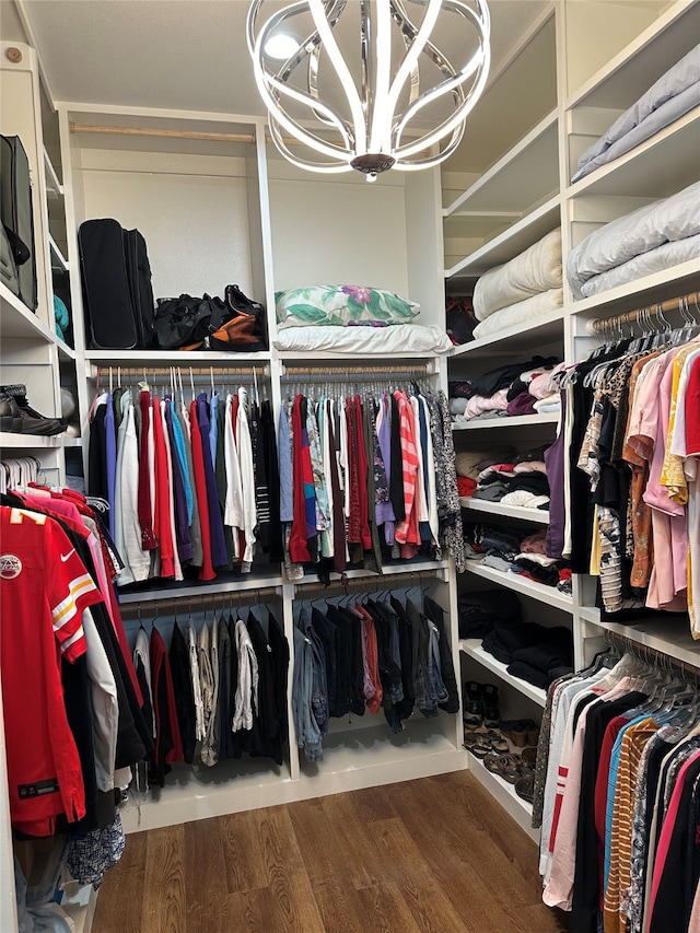 walk in closet with hardwood / wood-style floors and an inviting chandelier