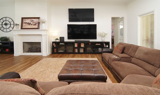 living room featuring light hardwood / wood-style floors and crown molding