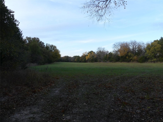 TBD School House Rd, Forestburg, TX 76239