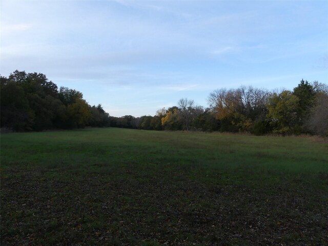 TBD School House Rd, Forestburg, TX 76239