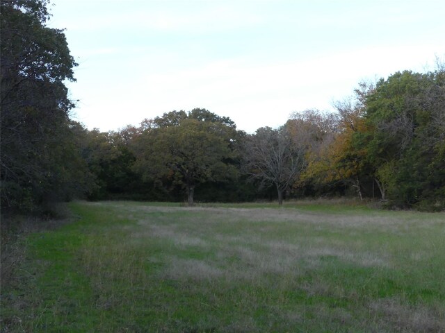 TBD School House Rd, Forestburg, TX 76239