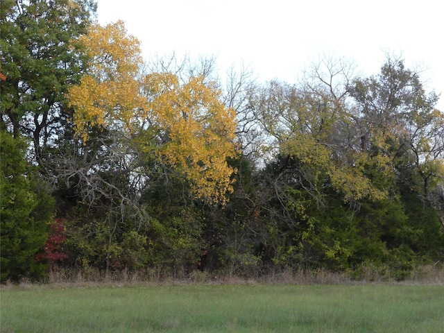 TBD School House Rd, Forestburg, TX 76239
