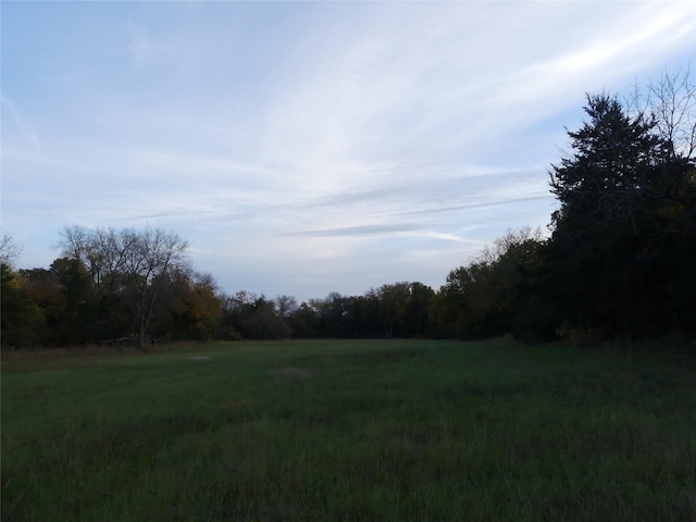 TBD School House Rd, Forestburg, TX 76239