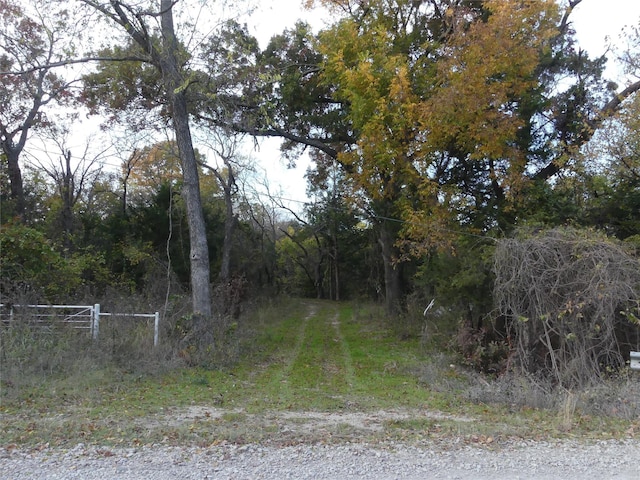 TBD School House Rd, Forestburg, TX 76239