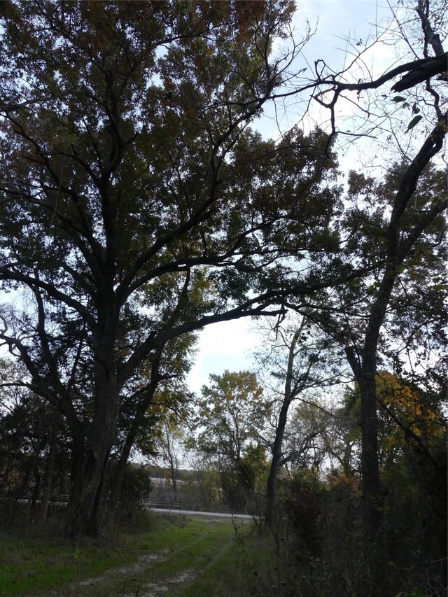 TBD School House Rd, Forestburg, TX 76239