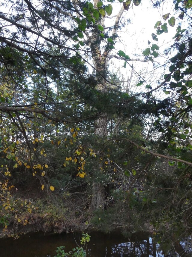 TBD School House Rd, Forestburg, TX 76239