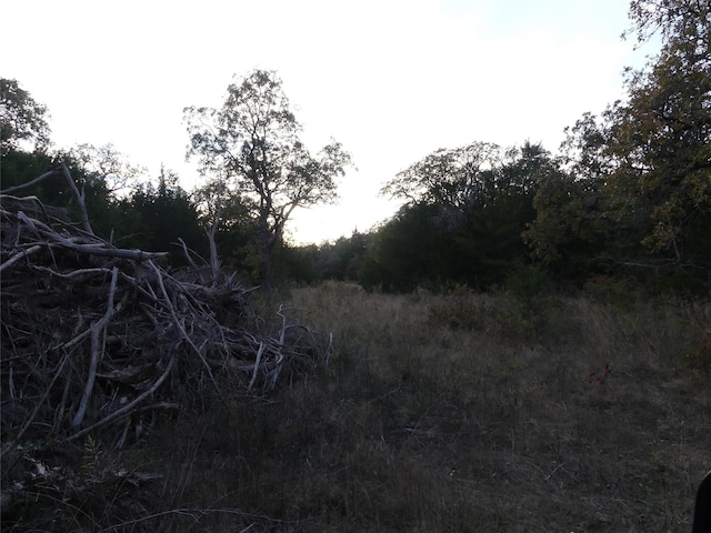 TBD School House Rd, Forestburg, TX 76239
