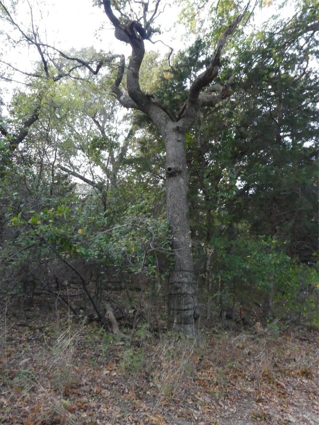 TBD School House Rd, Forestburg, TX 76239