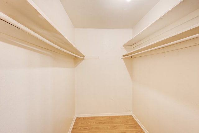 spacious closet featuring light wood-type flooring