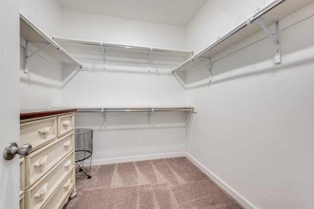 walk in closet with carpet flooring