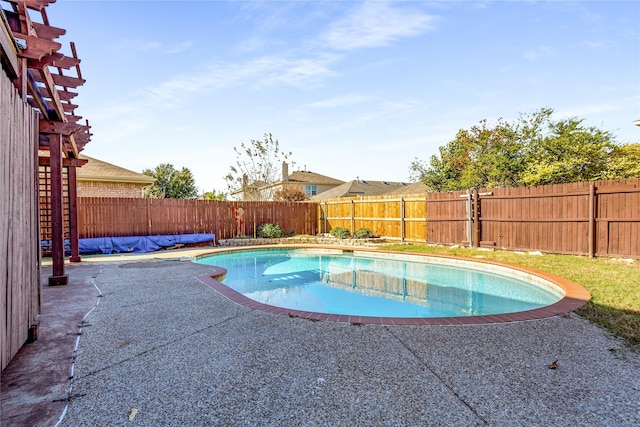 view of swimming pool with a patio area