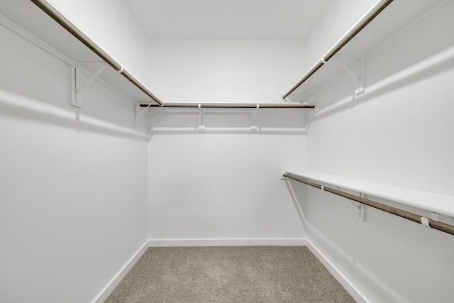 4016-4018 Clovis St, Midlothian, TX 76065 - walk in closet with carpet flooring