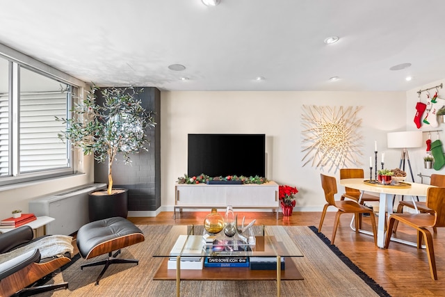 living room with wood-type flooring